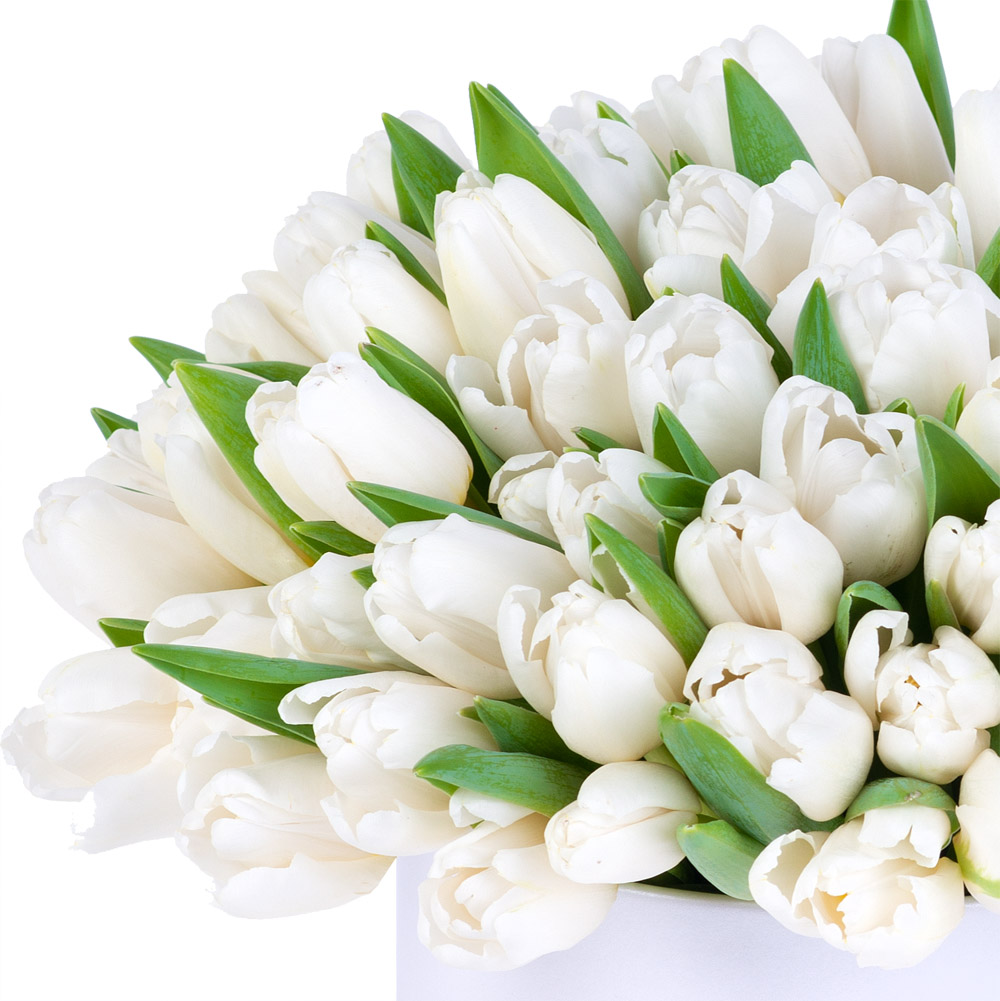 101 белый тюльпан в белой шляпной коробке