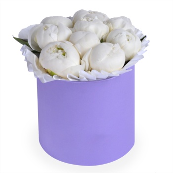 Букет из 9 белых пионов в фиолетовой шляпной коробке