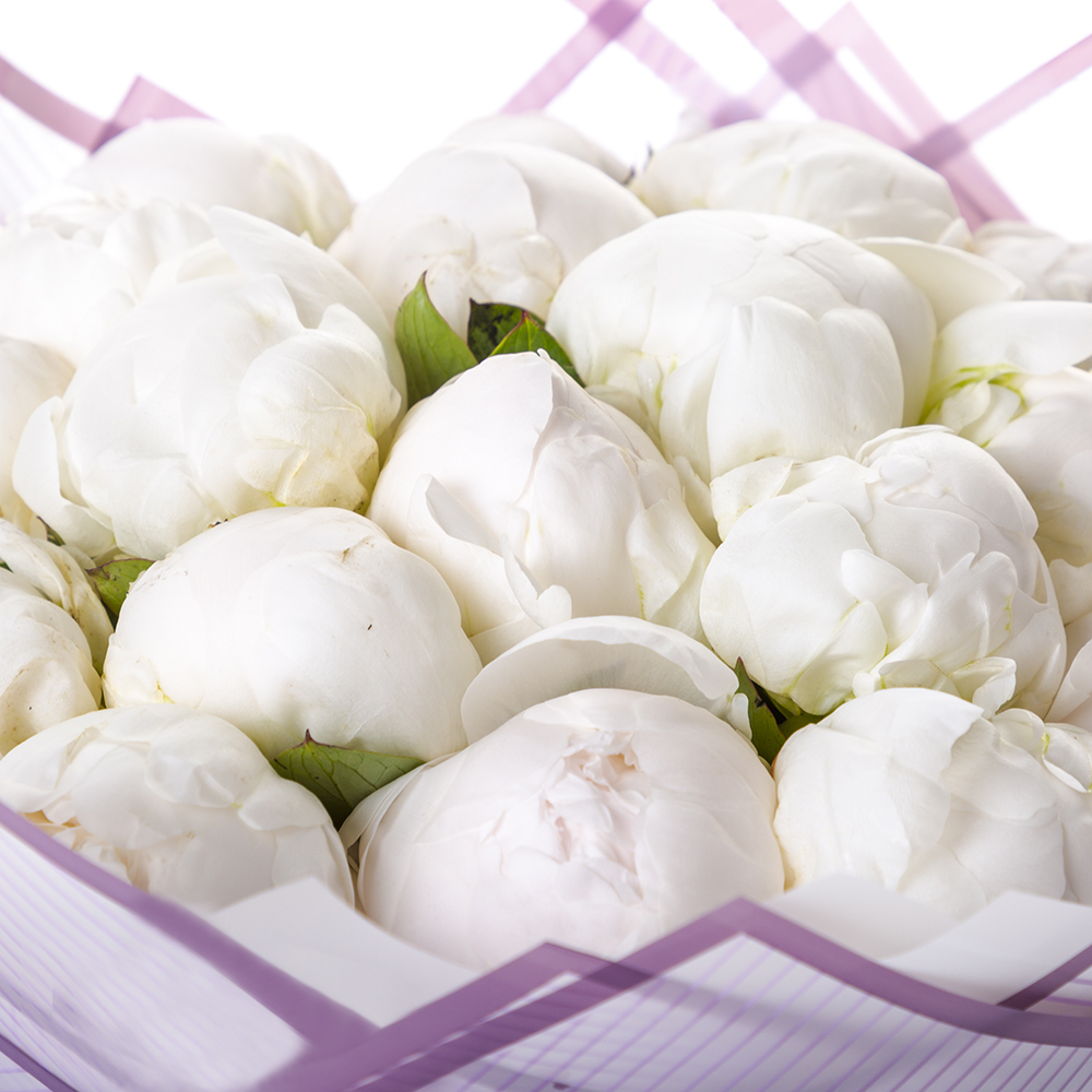 Букет из 19 белых пионов