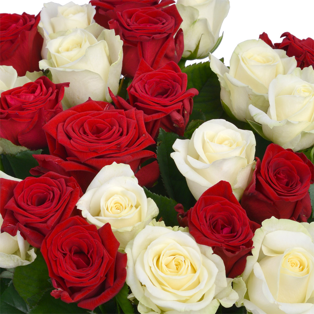 21 роза микс 60 см