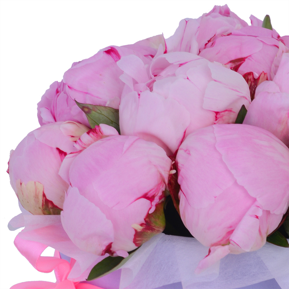 Букет из 15 розовых пионов в фиолетовой шляпной коробке