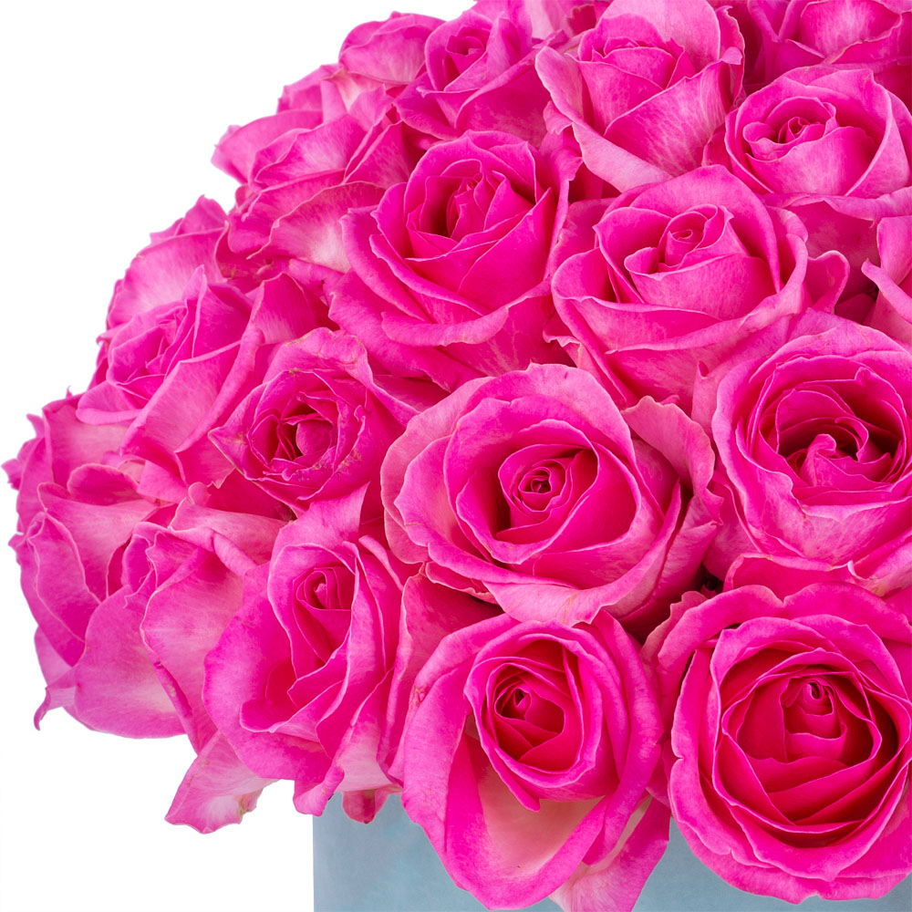 Букет из 51 малиновой розы premium в бархатной шляпной коробке