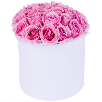 Букет из 21 розовой розы premium в белой шляпной коробке