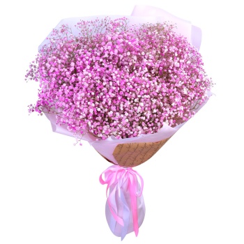 Букет из 25 розовых гипсофил