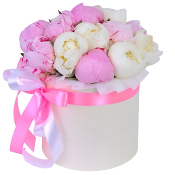 Букет из 11 разноцветных пионов в кремовой шляпной коробке