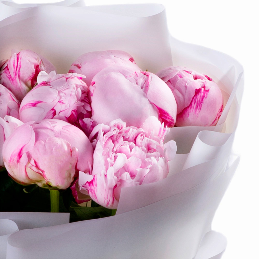 9 розовых пионов