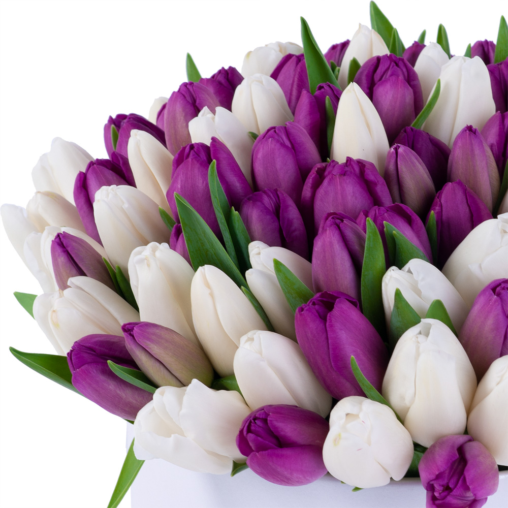 101 разноцветный тюльпан в белой шляпной коробке