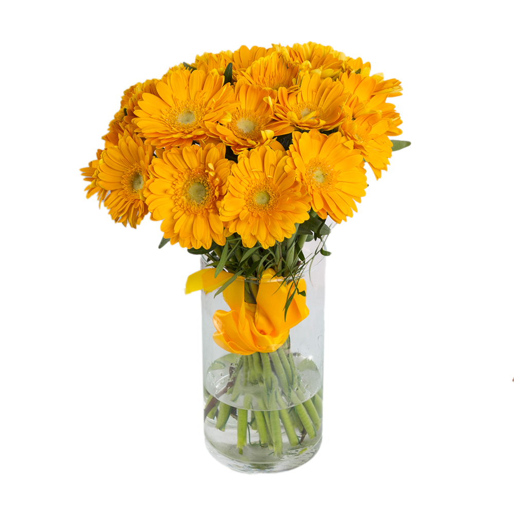 Букет из 21 желтой герберы