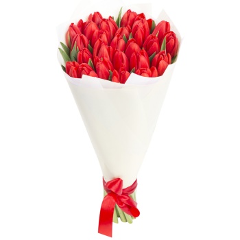 Букет из 25 красных тюльпанов