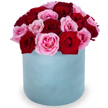 Букет из 35 разноцветных роз premium в зеленой бархатной шляпной коробке