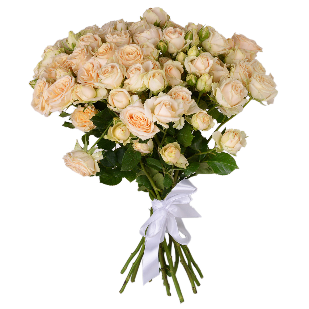 15 кремовых кустовых роз