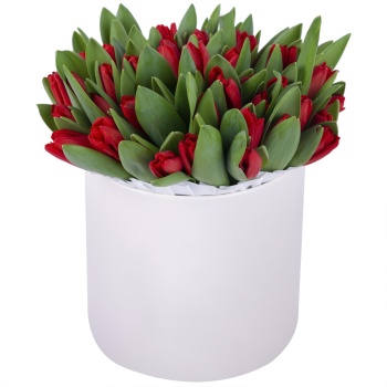 51 красный тюльпан в кремовой шляпной коробке