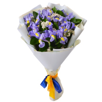 Букет с ирисами, озотамнусом и рускусом