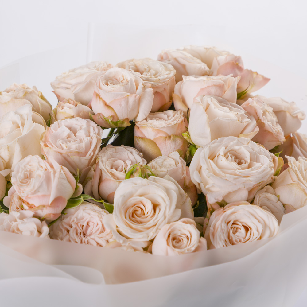 Букет из 11 кремовых роз