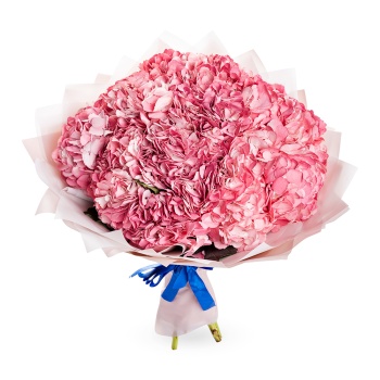 Букет из 11 розовых гортензий