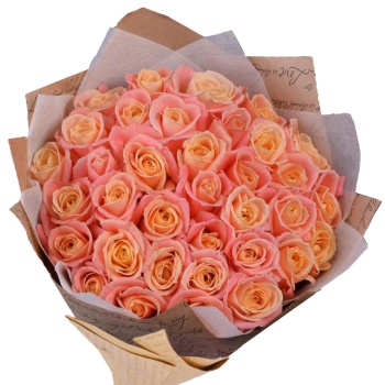 35 нежных роз сорта Мисс Пигги Роза Premium 40 см