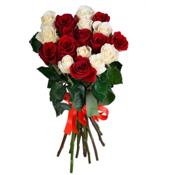 19 разноцветных роз Эквадор 70 см