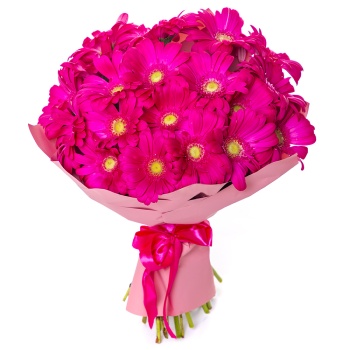 Букет из 19 малиновых гербер