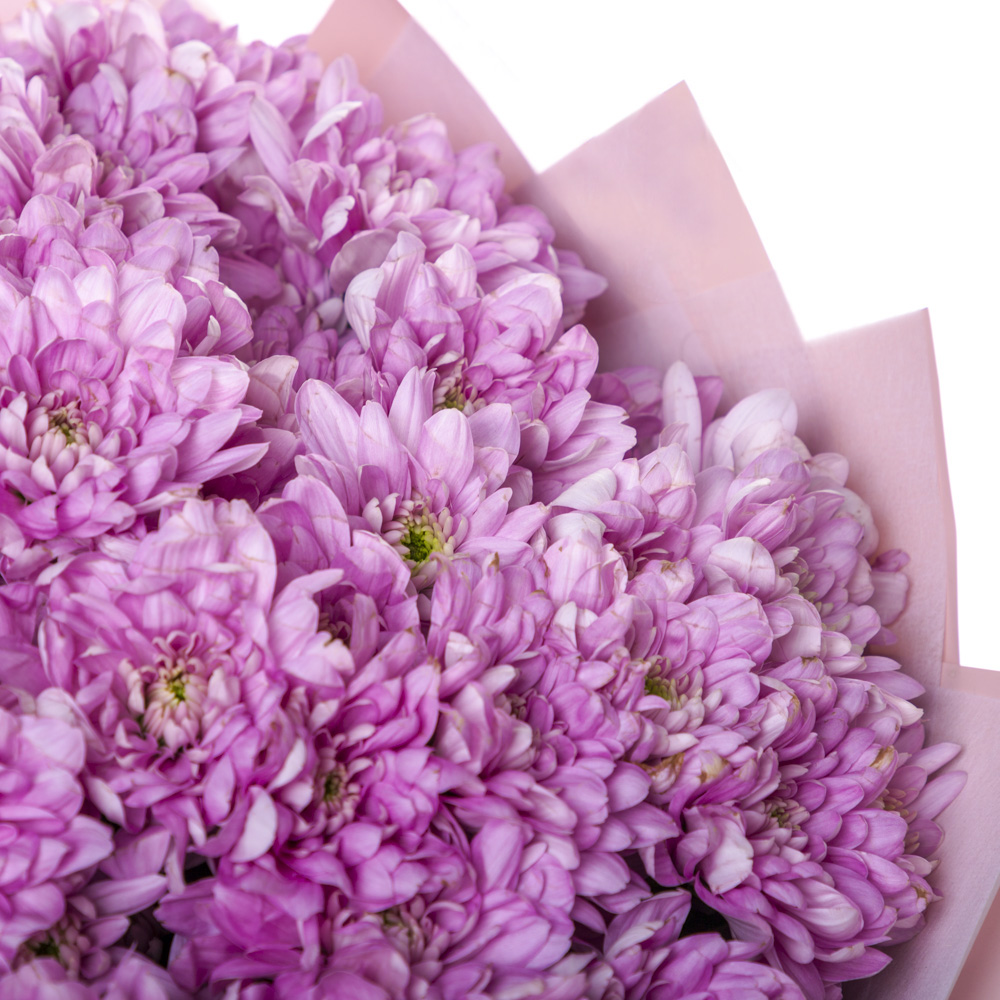 Букет из 19 сиреневых хризантем
