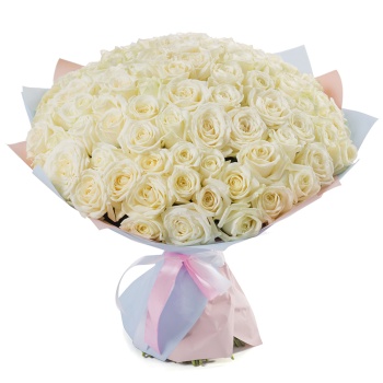 Букет из 101 белой розы 50 см