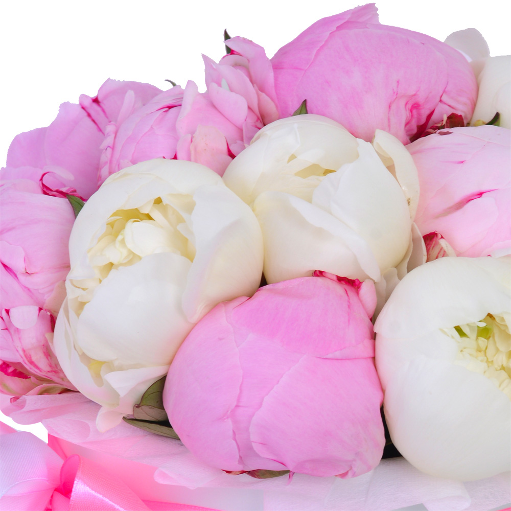 Букет из 11 разноцветных пионов в белой шляпной коробке