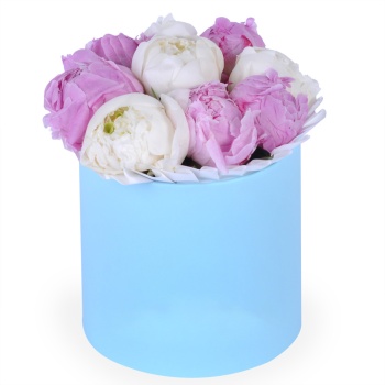 Букет из 9 разноцветных пионов в голубой шляпной коробке