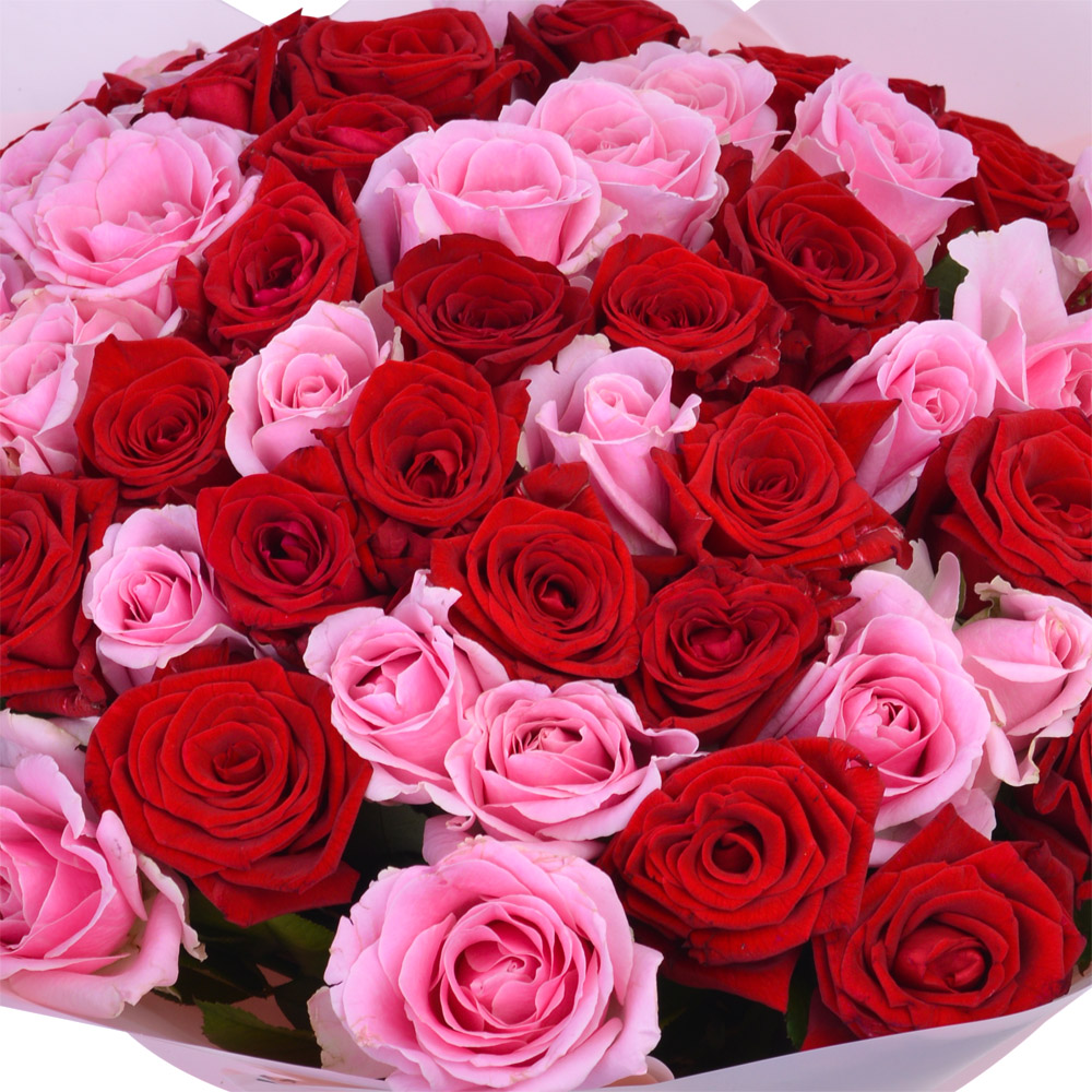 Букет из 75 красных и розовых роз Premium 40 см