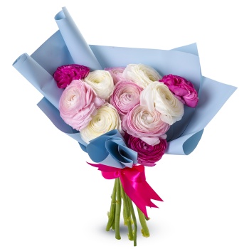 Букет из 11 разноцветных ранункулюсов