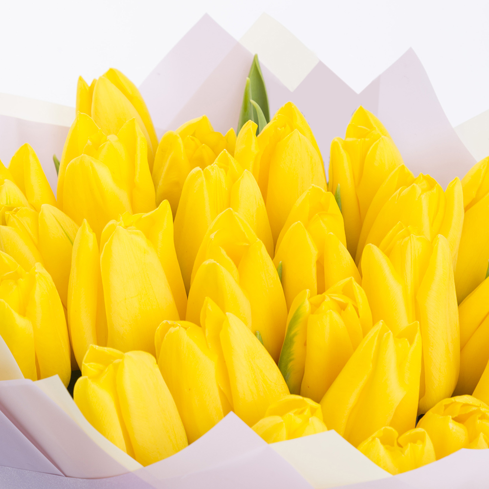 Букет из 25 желтых тюльпанов