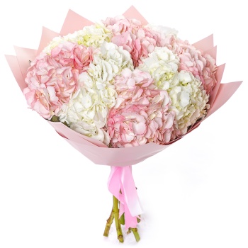 Букет из 9 разноцветных гортензий