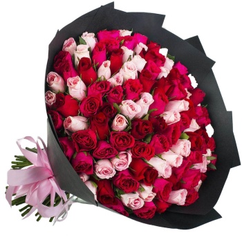 Букет из 101 розовой и малиновой розы