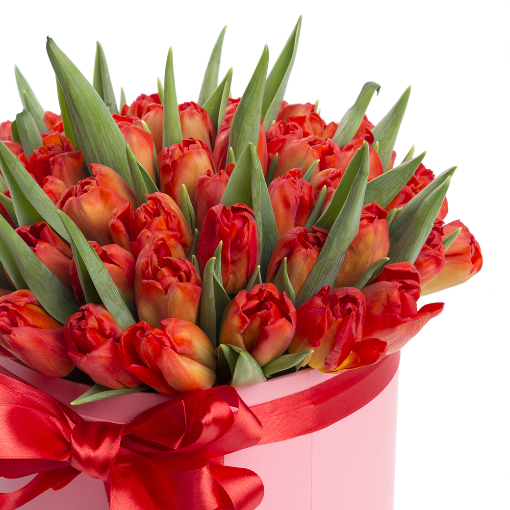 51 оранжевый тюльпан в шляпной коробке