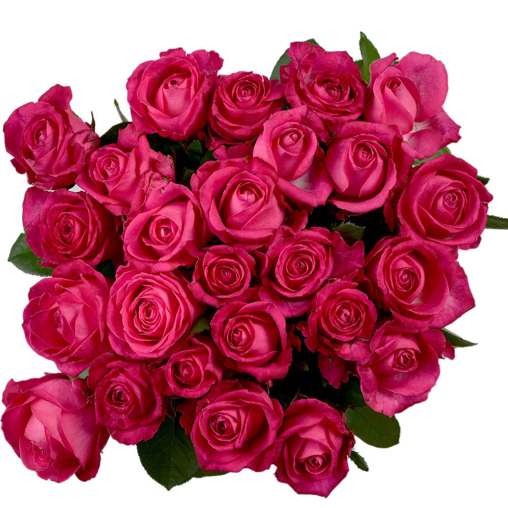 Букет из 25 малиновых роз 60 см