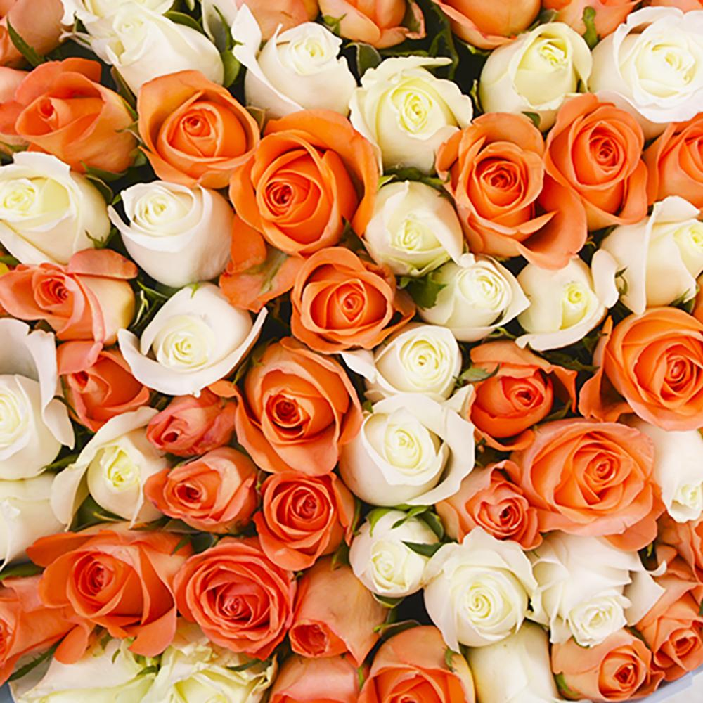 Букет из 101 белой и оранжевой розы