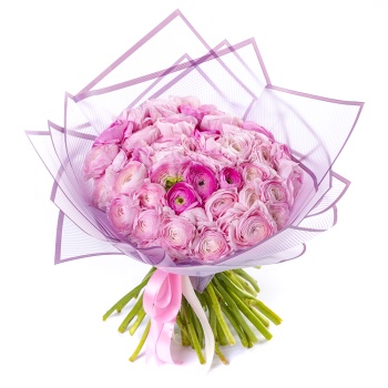 51 розовый ранункулюс