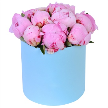 Букет из 11 розовых пионов в голубой шляпной коробке