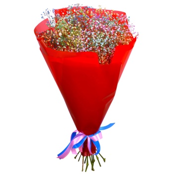 Букет из 11 радужных гипсофил