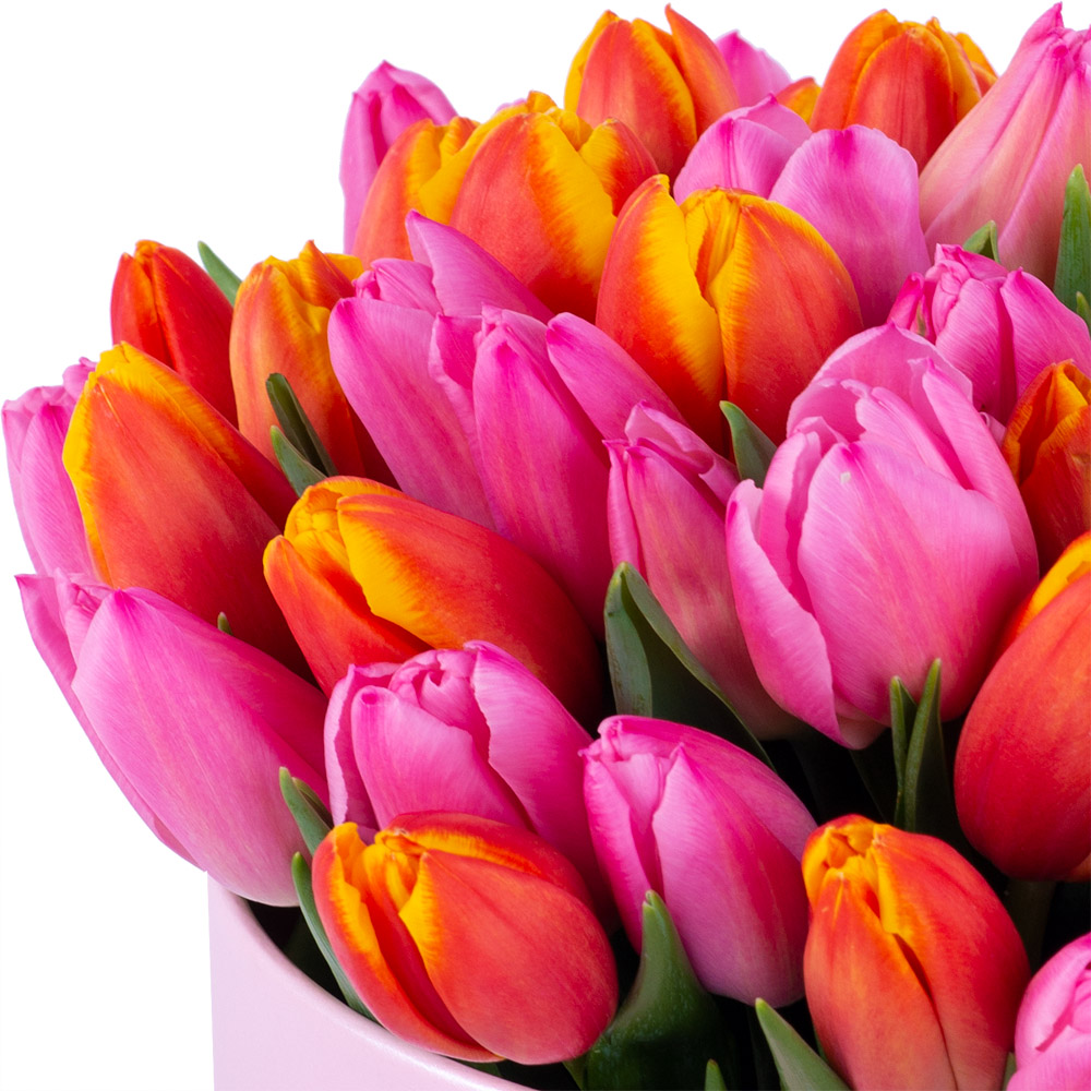 Букет микс из 51 тюльпана в роовой шляпной коробке