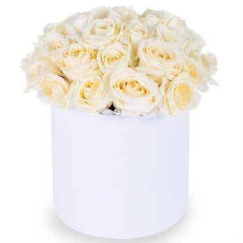 Букет из 35 белых роз premium в кремовой шляпной коробке
