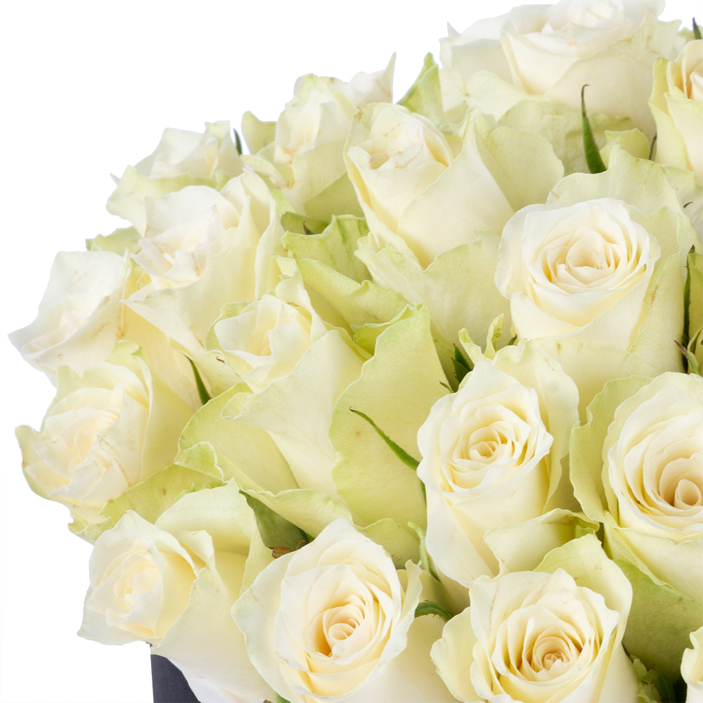 25 белых роз в черной шляпной коробке