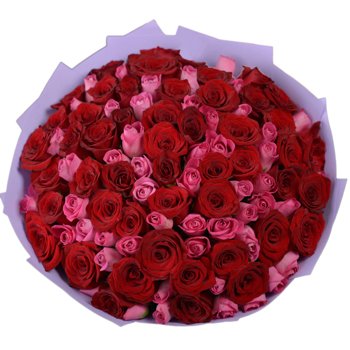 101 роза букет разноцветный Ягодный микс