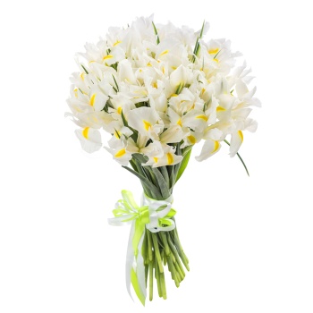 Букет из белого ириса 25 шт