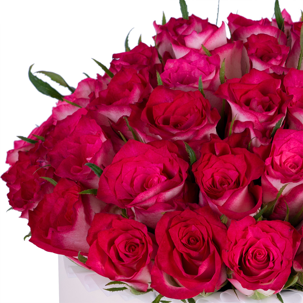 Букет из 51 бело-малиновой розы в кремовой шляпной коробке