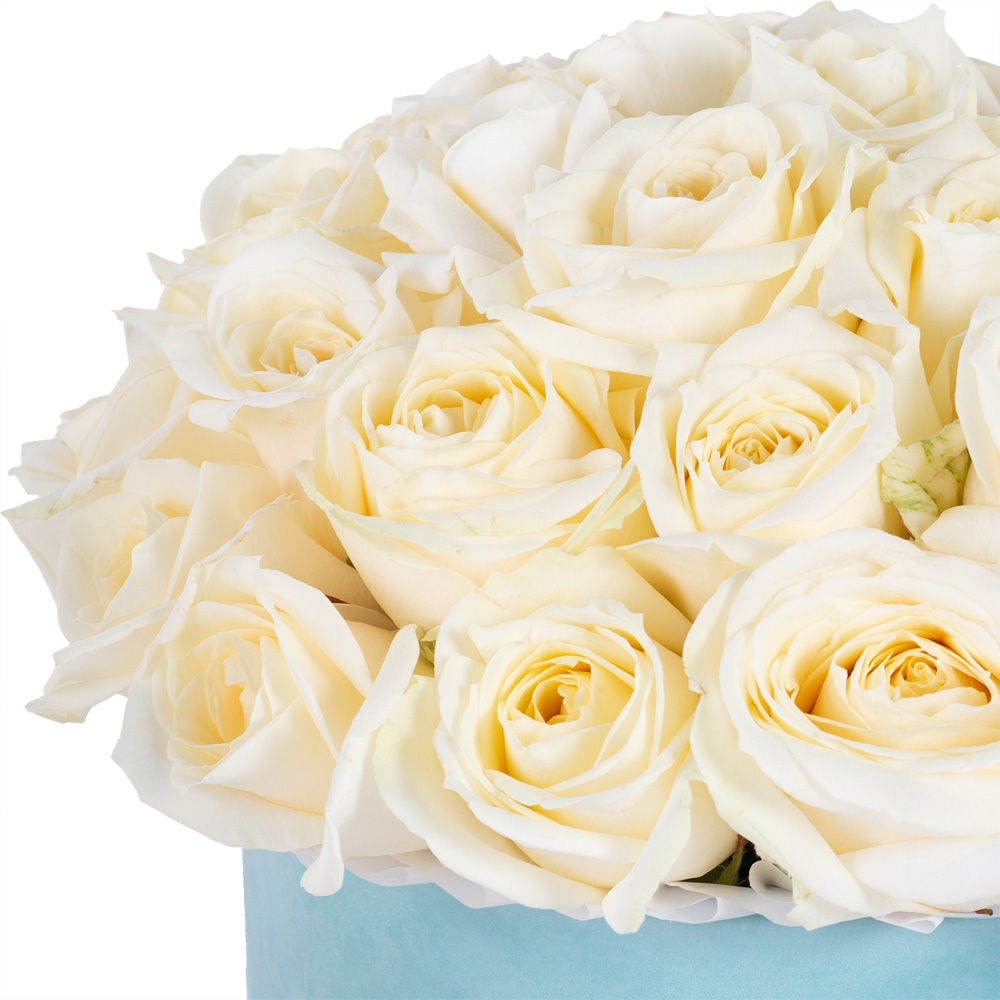 Букет из 35 белых роз premium в зеленой бархатной шляпной коробке