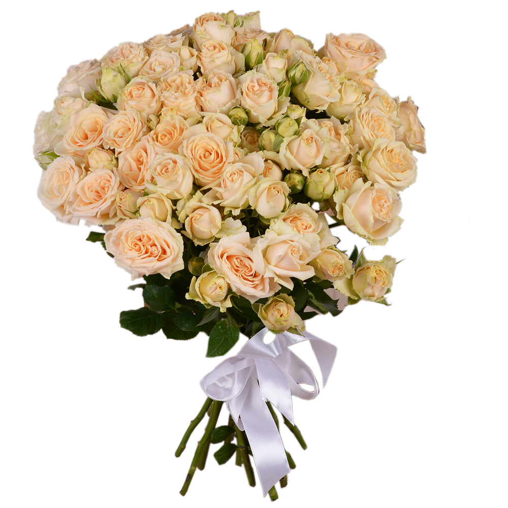 15 кремовых кустовых роз