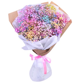 Букет из 11 разноцветных гипсофил