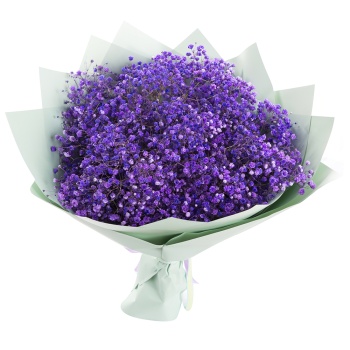 Букет из 15 сиреневых гипсофил