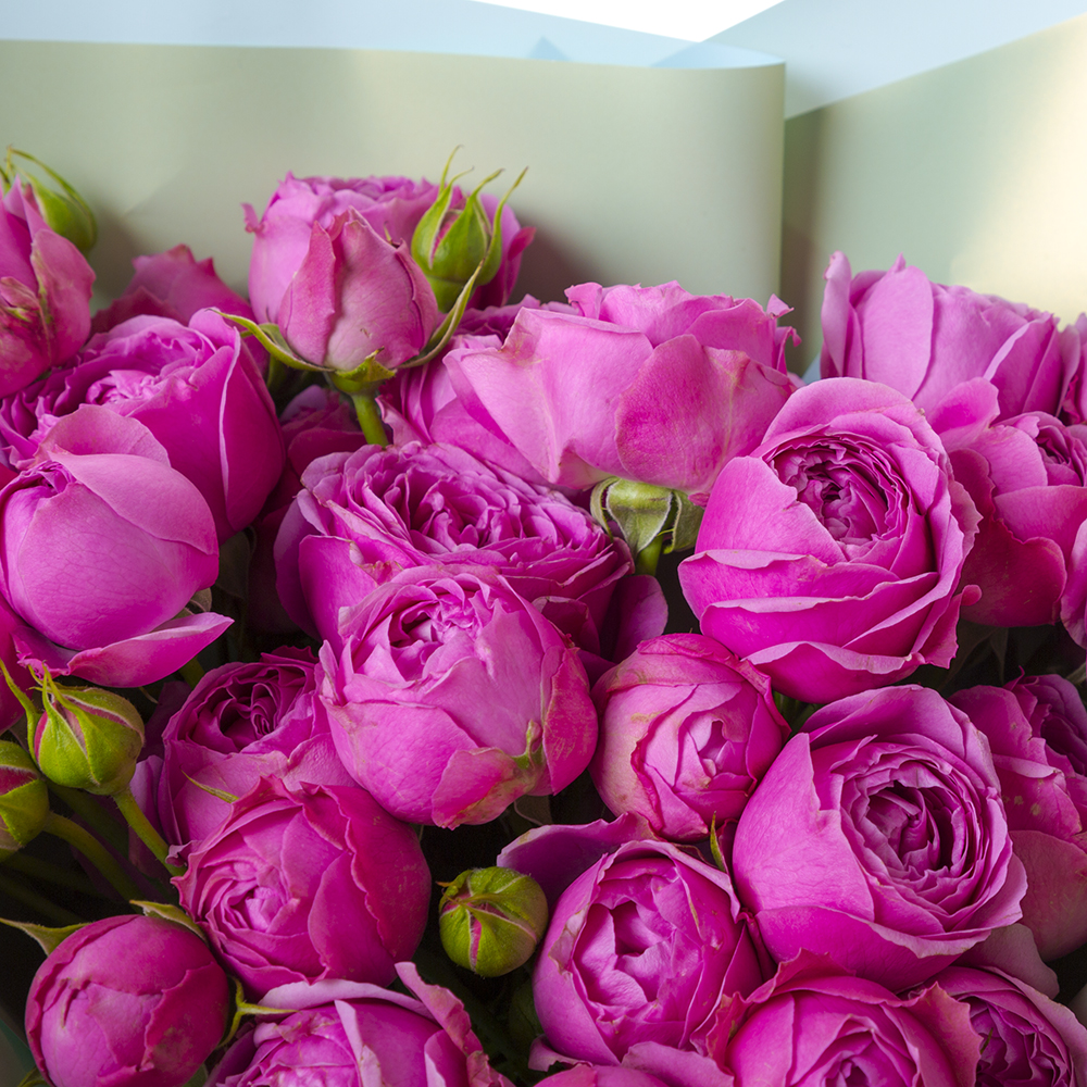 Букет из кустовой розы Мисти Бабблз 15 шт