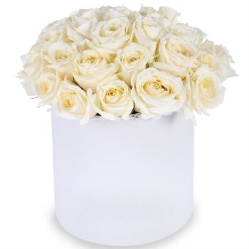 Букет из 35 белых роз premium в белой шляпной коробке