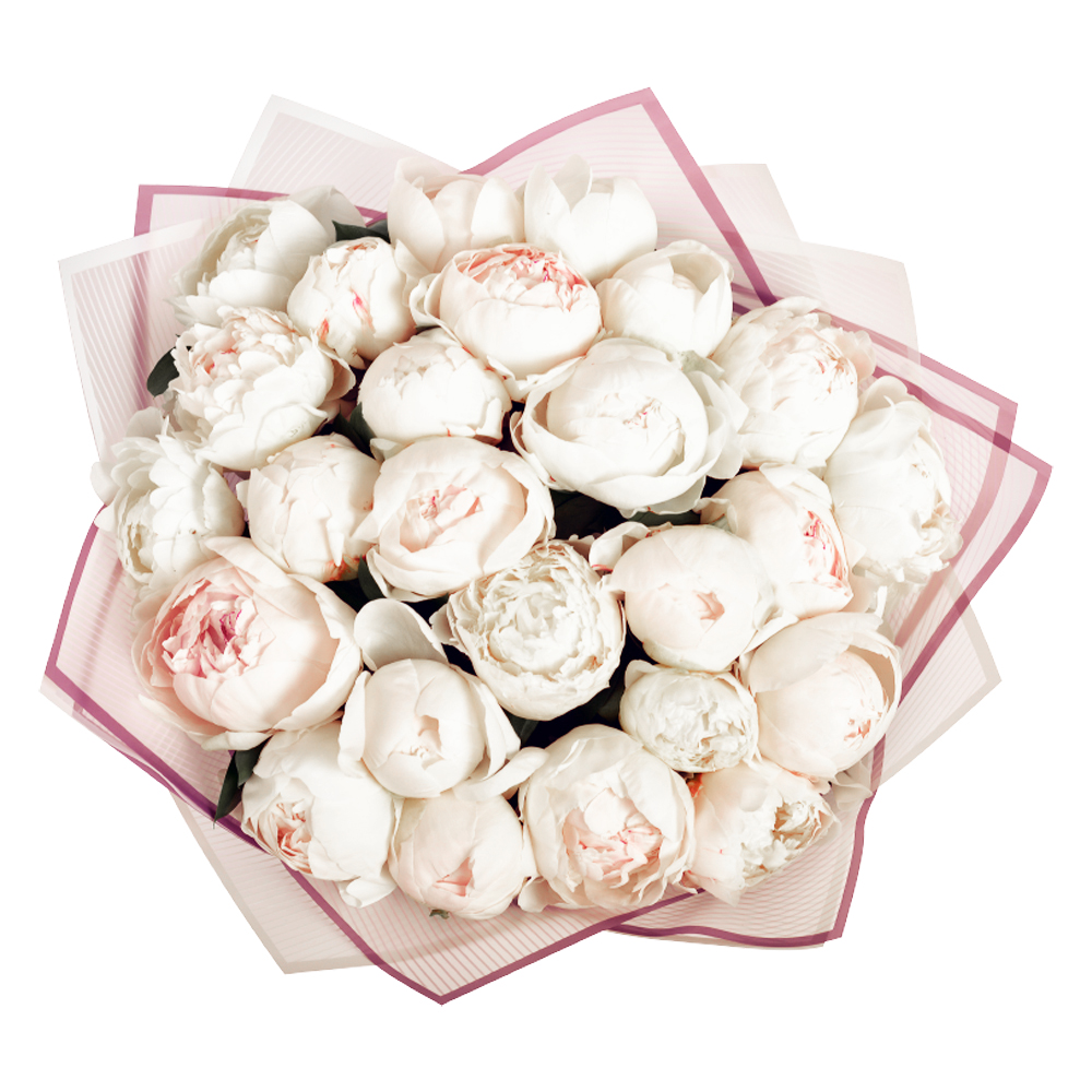 Букет из 25 белых пионов